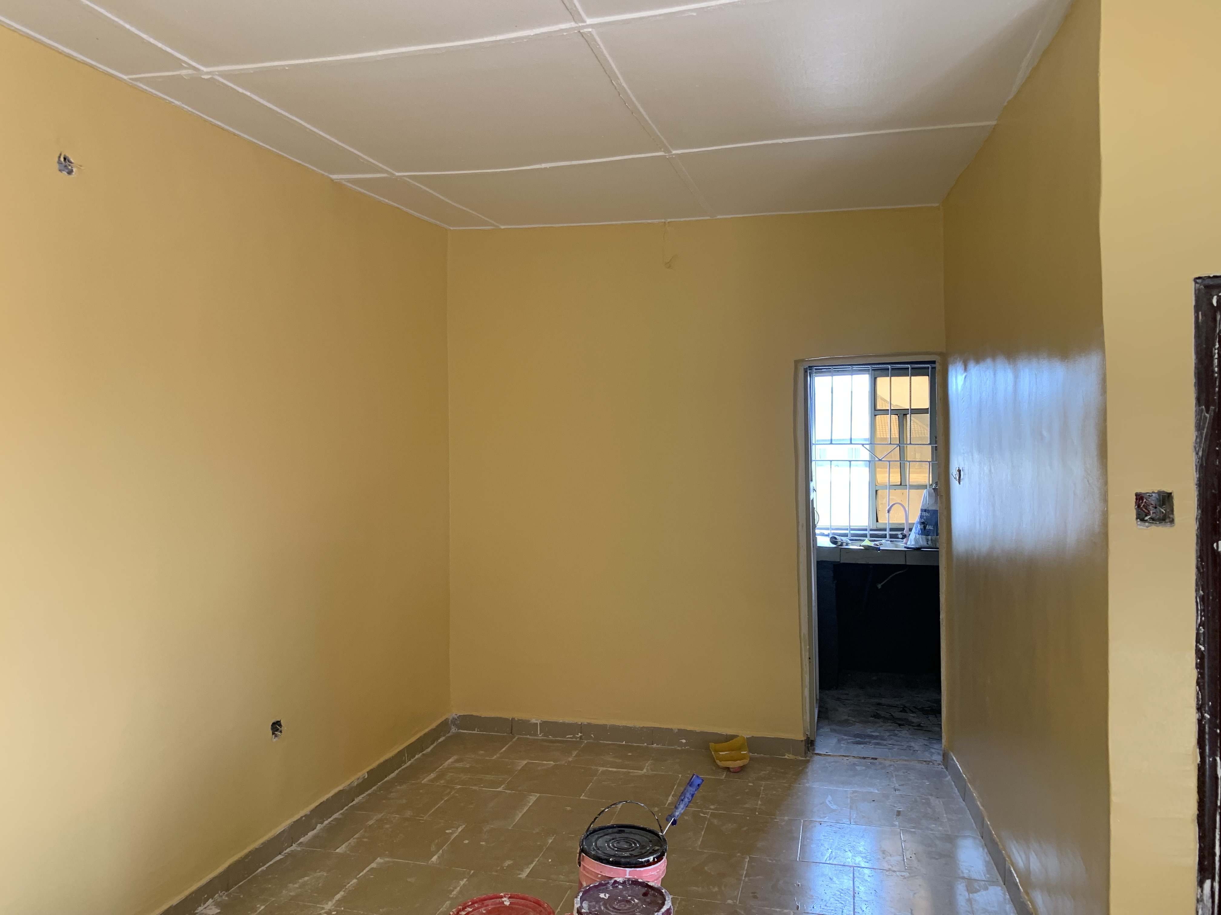 Interior & Exterior Screeding and Painting Services